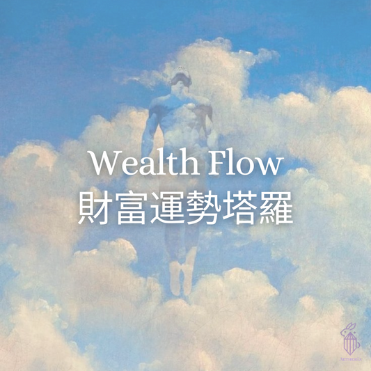 Wealth Flow
